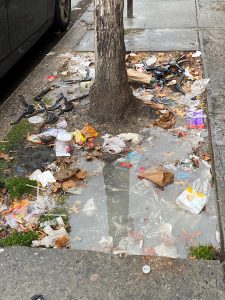 Subotica grad secesije ili grad smeća?