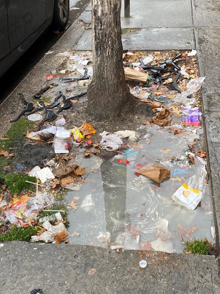 Subotica grad secesije ili grad smeća?