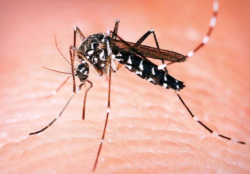 Informacija o aktuelnoj epidemiološkoj situaciji groznice Zapadnog Nila na teritoriji Srbije