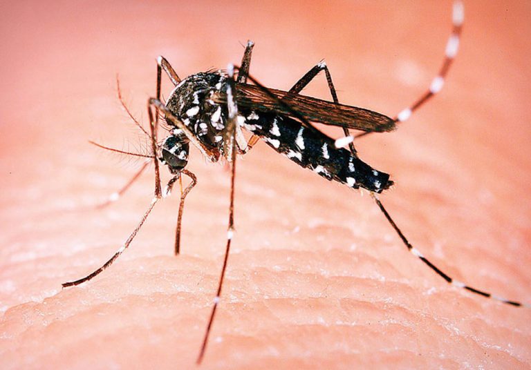 Informacija o aktuelnoj epidemiološkoj situaciji groznice Zapadnog Nila na teritoriji Srbije