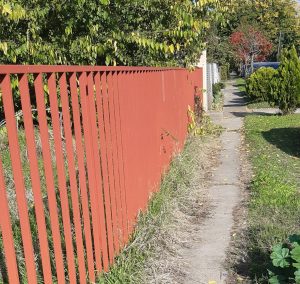 KUKAONICA – Parcela zarasla u korov KUKAONICA – Parcela zarasla u korov