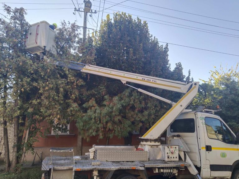 Vredni radnici JKP “Čistoća i Zelenilo” danas u akciji orezivanja stabala
