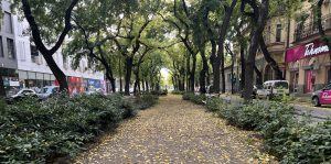 Subotica u slici: Četvrtak, 17. oktobar