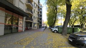 Subotica 28. oktobar u 30 sekundi