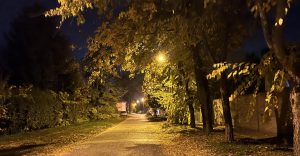 SUBOTICA U SLICI: Sreda, 30. oktobar, nekim drugim ulicama