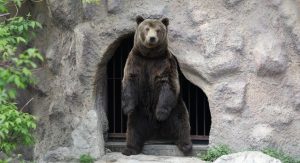 ZOO vrt Palić objavio novo radno vreme