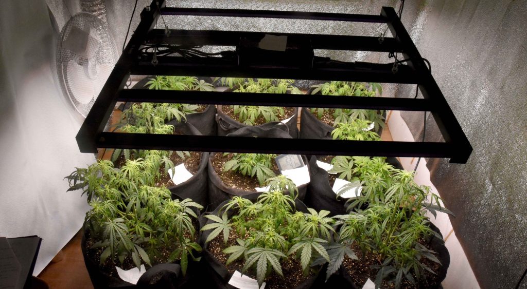 HAPŠENJE U SUBOTICI: Pronađena opojna droga – POGLEDAJTE FOTOGRAFIJE
