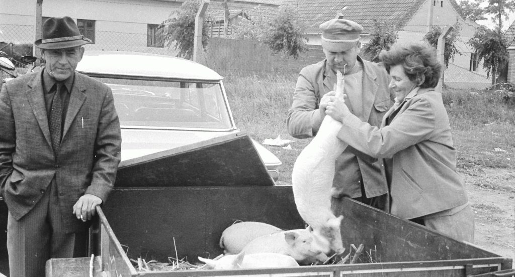 “Buvljak” i okolina šestdesetih godina XX veka