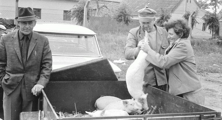 “Buvljak” i okolina šestdesetih godina XX veka