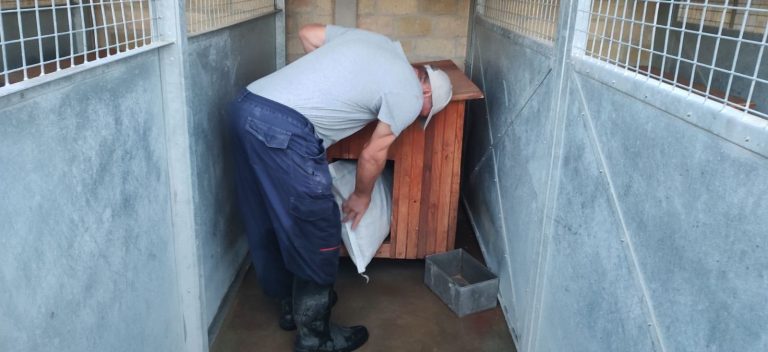 Pripreme za zimu u prihvatilištu za napuštene  pse i mačke u Subotici