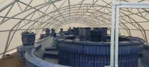 Subotička lepotica spremno dočekuje sneg i mraz Subotička lepotica spremno dočekuje sneg i mraz