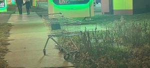 KUKAONICA: “Samo bahato…”