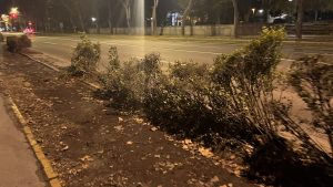 KUKAONICA: “Jedno pravi drugo kvari”