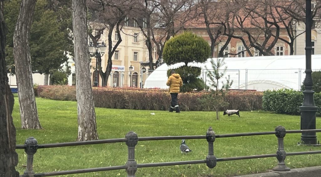 KUKAONICA: “Park u centru grada nije park za pse”