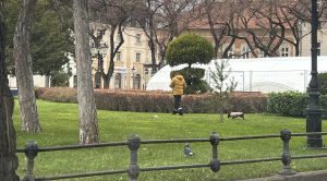 KUKAONICA: “Park u centru grada nije park za pse”