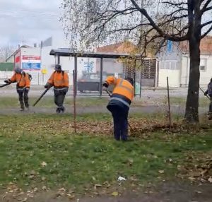 KUKAONICA: “Zašto niko ne odnosi opalo lišće?!”