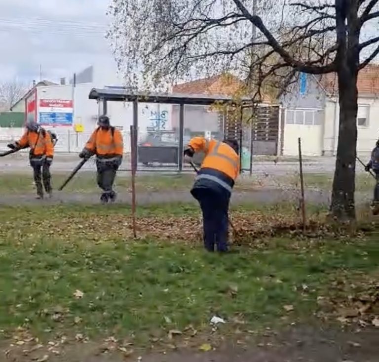 KUKAONICA: “Zašto niko ne odnosi opalo lišće?!”