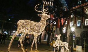 U Subotici u toku postavljanje 2.500 novogodišnjih ukrasa