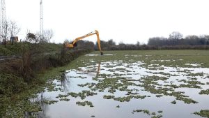 Počelo uklanjanje vodene salate iz Palićkog jezera Počelo uklanjanje vodene salate iz Palićkog jezera