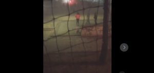 Opasnost pirotehnike: Petarda eksplodirala tik uz psa VIDEO