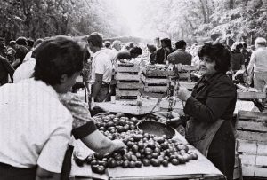 Najnovije cene sa subotičkih pijaca: Evo koliko sada košta sveže povrće i meso! Najnovije cene sa subotičkih pijaca: Evo koliko sada košta sveže povrće i meso!