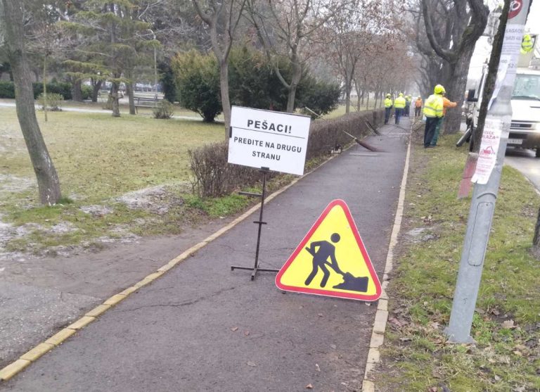 Redovno zimsko orezivanje stabala u Subotici