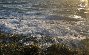 Zimska magija na Palićkom jezeru (VIDEO)