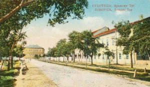 Od promenade do pijace: Transformacija Zrinjskog trga u srcu Subotice / A sétánytól a piacig: A Zrínyi tér átalakulása Szabadka szívében