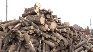 Hladnoća povećala  promet u drvarama: Ovo su trenutne cene drva i uglja u Subotici