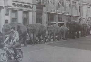 Cirkus u Subotici: Vreme kada su slonovi šetali gradskim ulicama