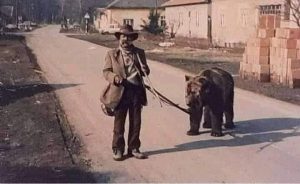 Medvedi koji su plesali ulicama Subotice: Mračna strana prošlih vremena