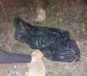 Nečija okrutnost, nečija nada: borba za spasene duše