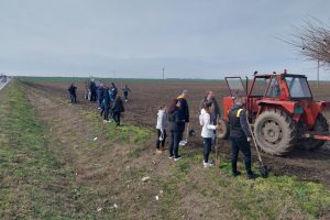 Zelena revolucija u Subotici: Meštani i kompanije zajedno za bolje sutra