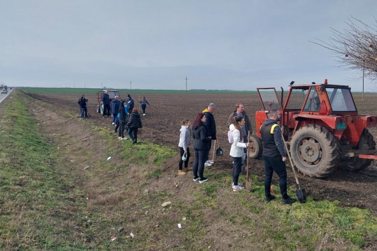 Zelena revolucija u Subotici: Meštani i kompanije zajedno za bolje sutra