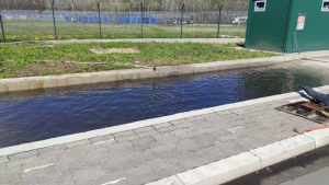 Punktovi za dezinfekciju na graničnom prelazu