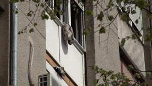 U jednoj stambenoj zgradi u Subotici izbio je požar