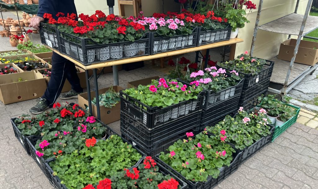 „Garden Flora” u Subotici