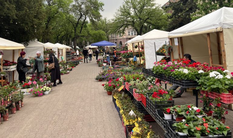 GARDEN FLORA u Subotici – praznik za ljubitelje cveća i baštovanstva! FOTOGRAFIJE
