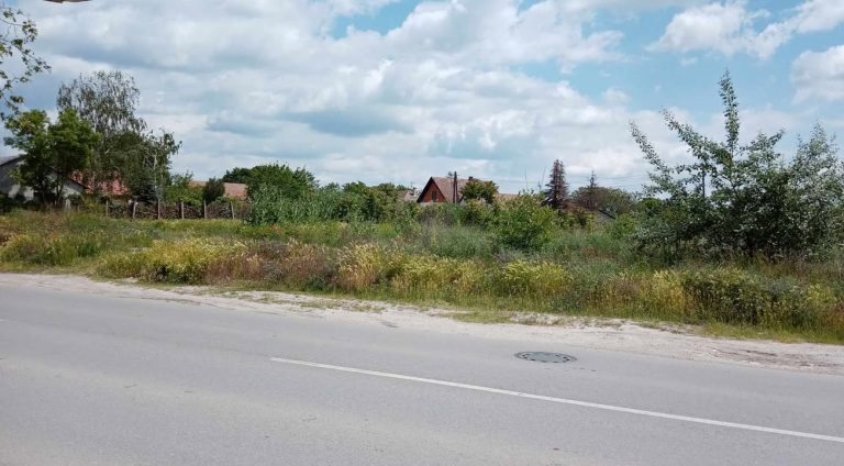 KUKAONICA: Divlje deponije i korov na početku Majšanskog puta – fotografije sa lica mesta
