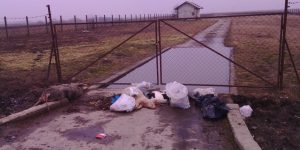 Neodgovorno “bacanje” uginulih životinja nedaleko od stočnog groblja u Subotici Neodgovorno “bacanje” uginulih životinja nedaleko od stočnog groblja u Subotici