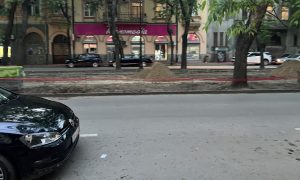 Uređenje parka u centru Subotice pri kraju – grad dobija novu oazu za odmor