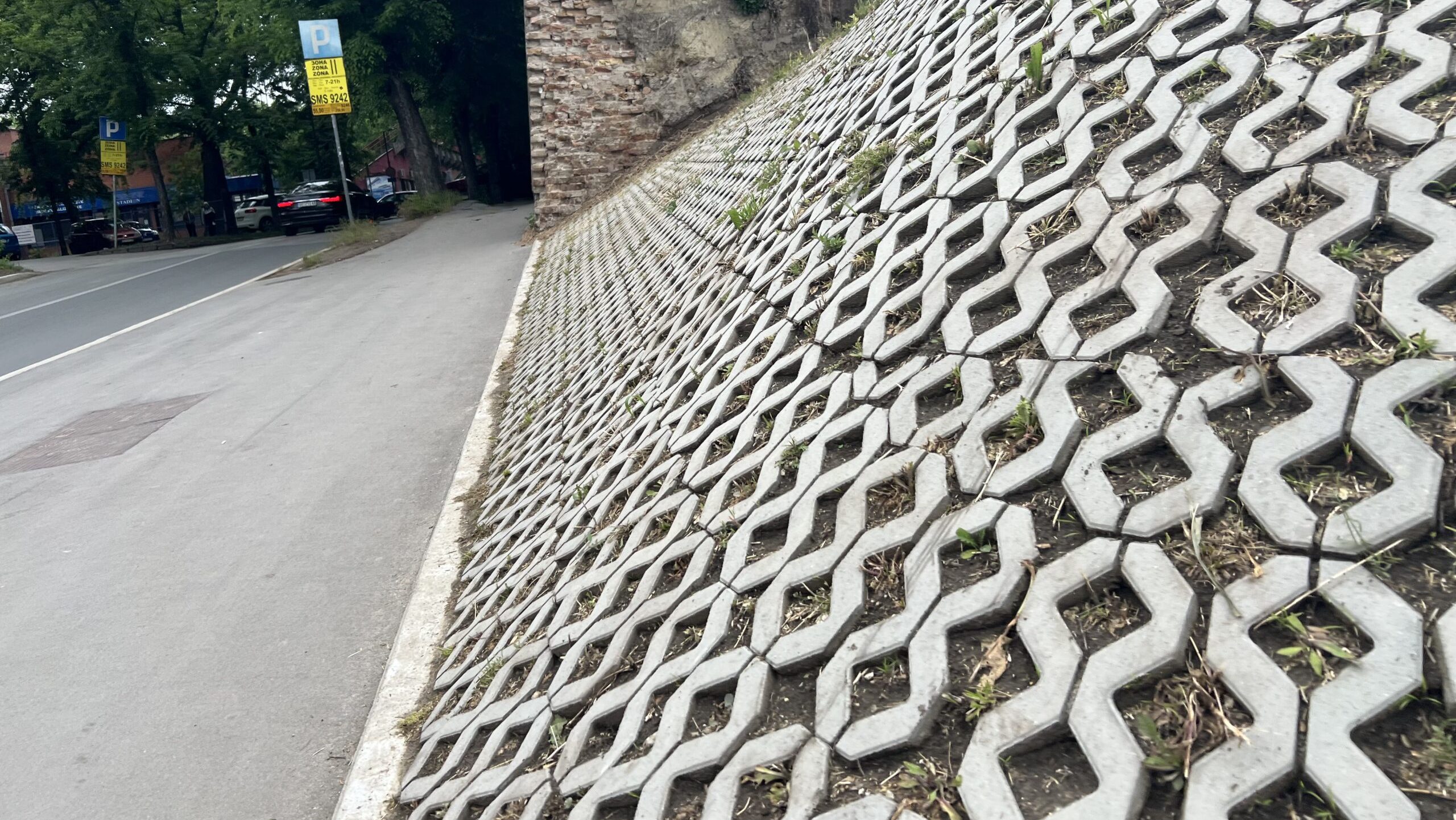 SUživo – Trava pokošena kod podvožnjaka u Maksima Gorkog