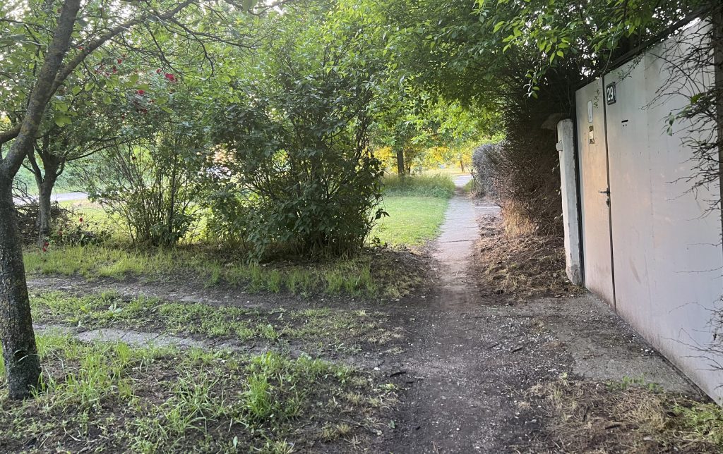 U ulici Pap Pala nalazi se zapušteni trotoar u senci zelenila. VIDEO