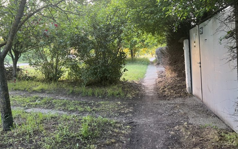 U ulici Pap Pala nalazi se zapušteni trotoar u senci zelenila. VIDEO