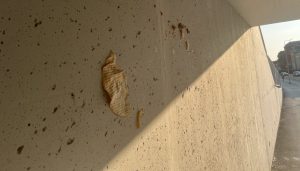 KUKAONICA: “Podvožnjak završen, kultura još u izgradnji – Pogledajte odvratan prizor na zidu podvožnjaka” KUKAONICA: “Podvožnjak završen, kultura još u izgradnji – Pogledajte odvratan prizor na zidu podvožnjaka”