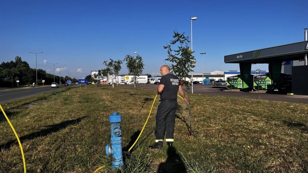 Vatrogasci iz DVD Matica Subotica spasavaju drveće: Grad se bori protiv suše!