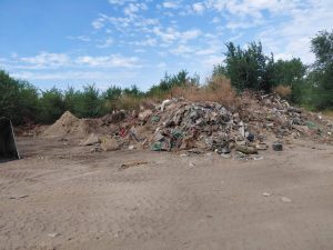 JKP “Čistoća i zelenilo” Subotica ponovo na prvoj liniji – građani, vreme je da se probudimo!