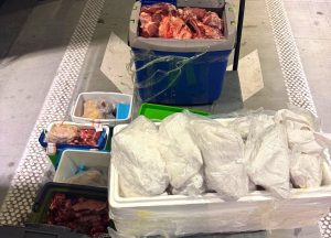 140kg mesa u prostoru za prtljag