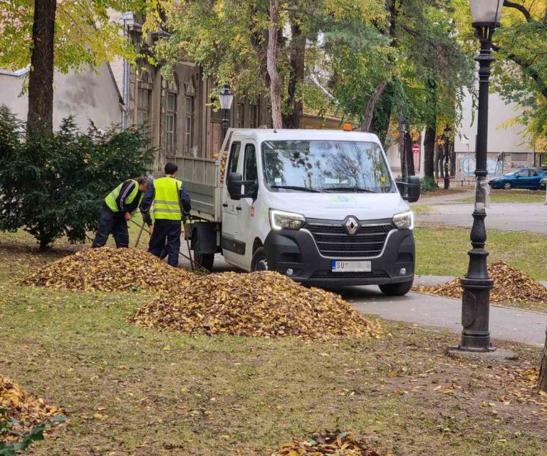 Uklanjanje opalog lišća u Subotici