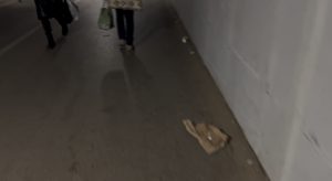 Građanin prijavio neuredan trotoar kog podvožnjaka. Pogledajte video